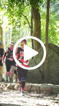 BIB:  <button type="button" onclick="openModal(28104196)" class="btn btn-primary btn-sm float-right" data-toggle="modal" data-target=".modal-high-quality">
                <i class="fa fa-download"></i> Download
                </button>